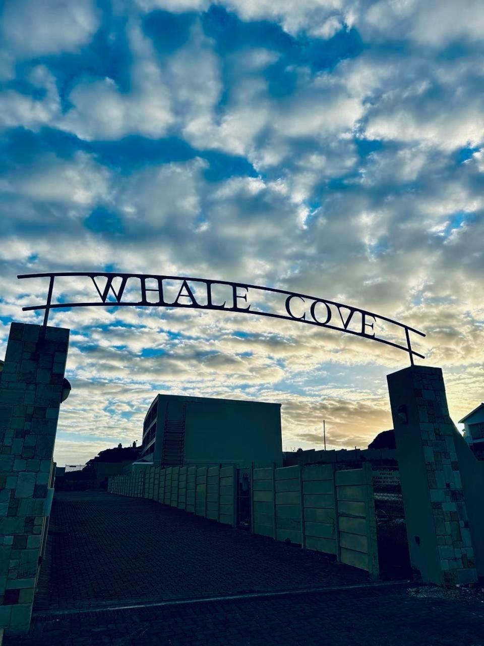 The View At Whale Cove De Kelders公寓 外观 照片